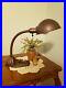 1930_s_Vintage_Rex_Electric_Gooseneck_Desk_or_Table_Lamp_with_Cast_Iron_Base_01_bzf