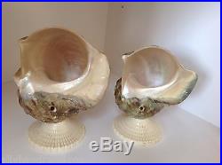 Antique Art Deco Nouveau Nautilus Seashell Sea Shell Figural Lamp Shade Pair