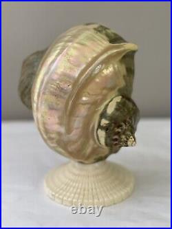 Antique Art Deco Nouveau Nautilus Seashell Sea Shell Figural Lamp Shade Specimen