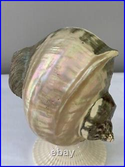 Antique Art Deco Nouveau Nautilus Seashell Sea Shell Figural Lamp Shade Specimen