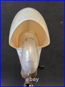 Antique Art Nouveau Nautilus Shell Goose Neck Pivoting Desk Table Lamp Houzex
