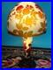 Art_Nouveau_Style_Emile_Galle_Blown_glass_Desk_lamp_light_US_Duty_Free_01_wlcq