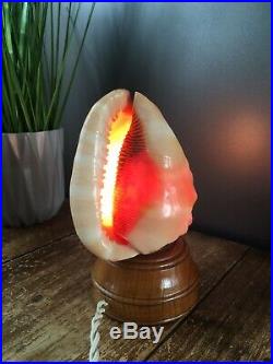 Beautiful Art Deco Lady Bust Hand Carved Cameo Conch Sea Shell Night Light Lamp
