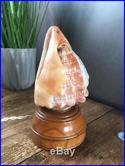 Beautiful Art Deco Lady Bust Hand Carved Cameo Conch Sea Shell Night Light Lamp