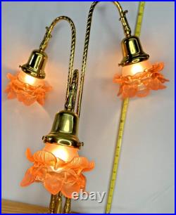 Brass 3-Stem Goose Neck Table Lamp Pink Glass Roses Nouveau Style Romance 24in