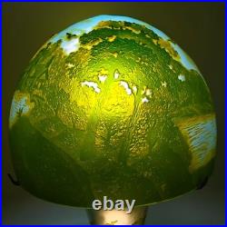 Emile Galle style, blown glass relief Colored glass desk lamp high 18 in exempt