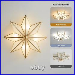 Large Star Brass Glass Ceiling Light Art Deco Flush Mount Fixture