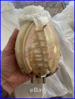 PAIR Antique Art Deco Nouveau Nautilus Seashell Shell Lamp Shade 5 Bulb Cover