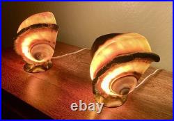 RARE Pair Turbo Shell Lamps MOP Base Vintage Coastal Nautical Art Deco Vintage