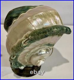 RARE Pair Turbo Shell Lamps MOP Base Vintage Coastal Nautical Art Deco Vintage