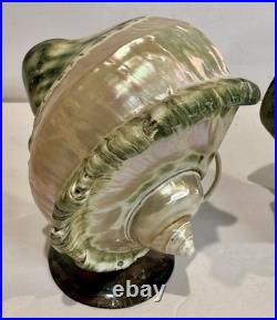 RARE Pair Turbo Shell Lamps MOP Base Vintage Coastal Nautical Art Deco Vintage