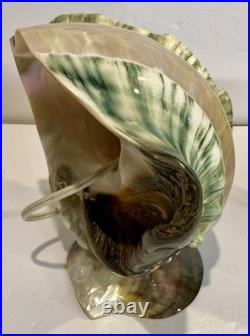RARE Pair Turbo Shell Lamps MOP Base Vintage Coastal Nautical Art Deco Vintage