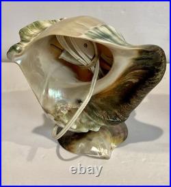 RARE Pair Turbo Shell Lamps MOP Base Vintage Coastal Nautical Art Deco Vintage