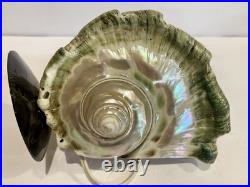 RARE Pair Turbo Shell Lamps MOP Base Vintage Coastal Nautical Art Deco Vintage