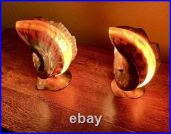 RARE Pair Turbo Shell Lamps MOP Base Vintage Coastal Nautical Art Deco Vintage