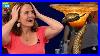 Tiffany_S_Masterpiece_The_Most_Expensive_Lamps_Ever_Found_On_Antiques_Roadshow_01_xstc
