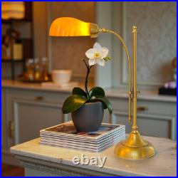 Unique Design Type Déco Banker's Lamp Amber Shell Unique Specimen Brass Lamp