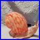 Unique_Tiffany_Style_Pink_Snail_Tabletop_Glass_Metal_Lamp_Art_Deco_Tested_01_qxsa
