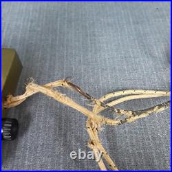 VTG Lenox Art Deco Lamp Female Bust Brass Base Glowing Face Geza de Vegh RARE