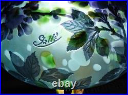 Very beautiful. Emile Galle lamp