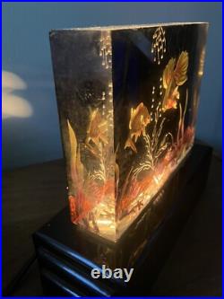 Vintage Antique Art Deco Lucite Aquarium Fish Lamp