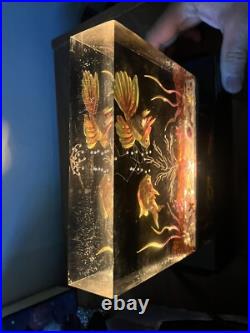 Vintage Antique Art Deco Lucite Aquarium Fish Lamp