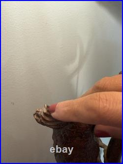 Vintage Art Deco Cockatoo Lamp, likely from the mid-20th century