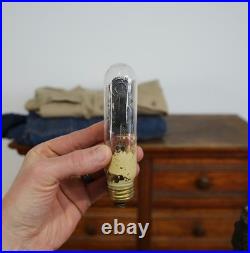 Vintage Art Deco Lamp Aerolux Filament Light bulb Scottie Dog Antique Orange