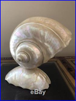 Vintage Art Deco Nouveau Nautilus Seashell Sea Shell Figural Lamp A5