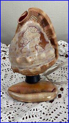 Vintage CAMEO carved seashell lamp shell lamp Cameo Lamp Sea Shell Lamp