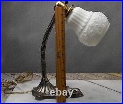 Vintage Gooseneck Art Deco Desk Lamp Cast Metal Glass Shade 14 TESTED WORKS