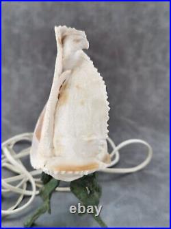 Vintage Handcarved Roma Colloseum Castle Cameo Seashell Night Lamp Light Italy